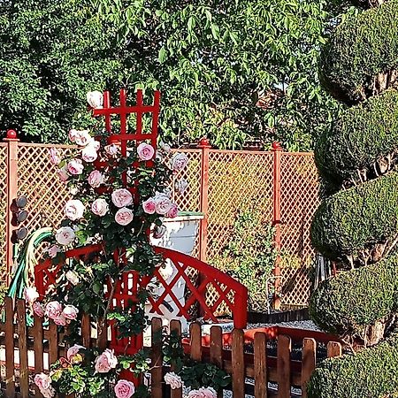 Une Pause Quelque Part Au Jardin Des Erables Et Des Niwakis Saint-Medard-de-Guizieres 外观 照片