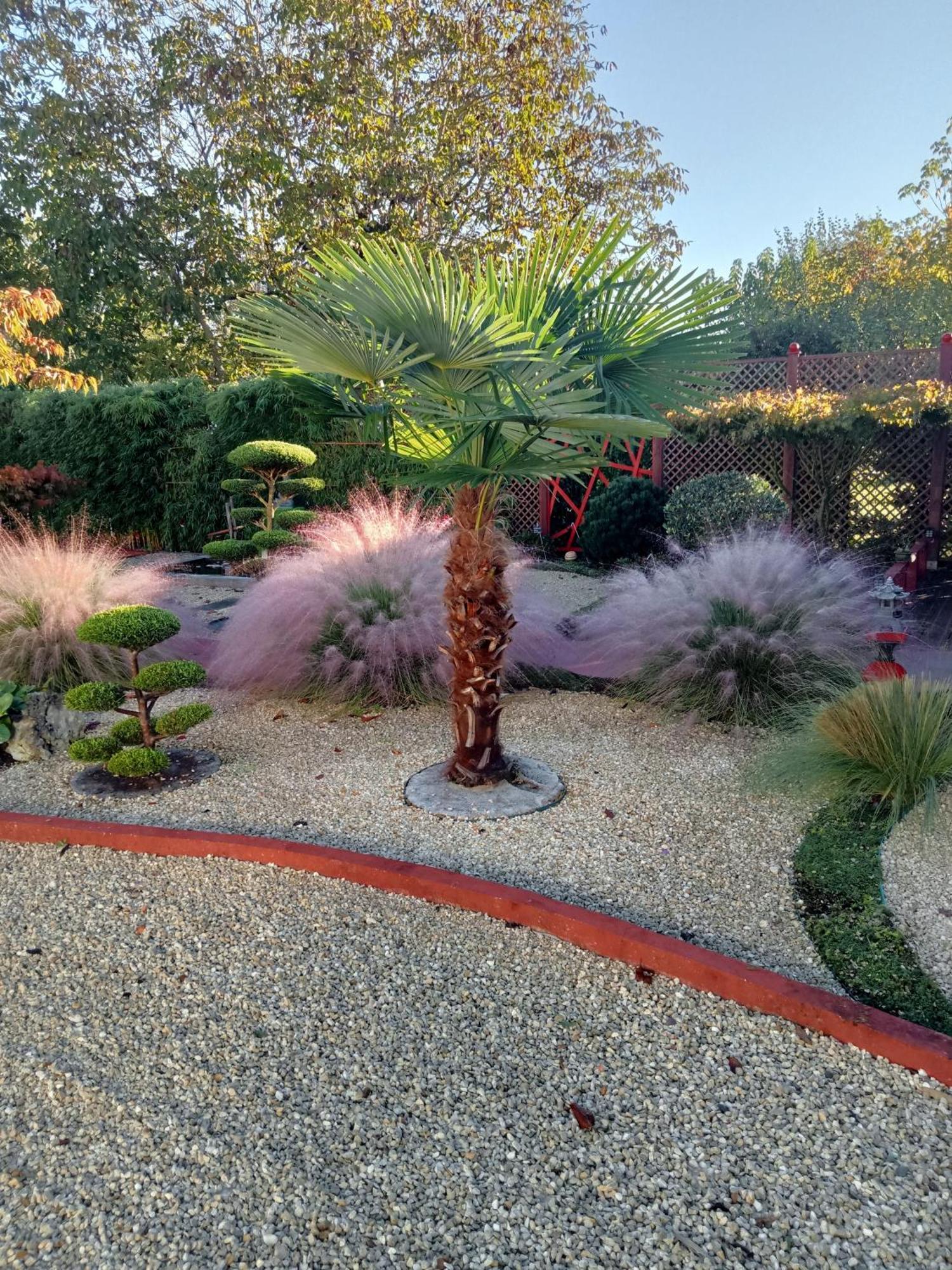 Une Pause Quelque Part Au Jardin Des Erables Et Des Niwakis Saint-Medard-de-Guizieres 外观 照片