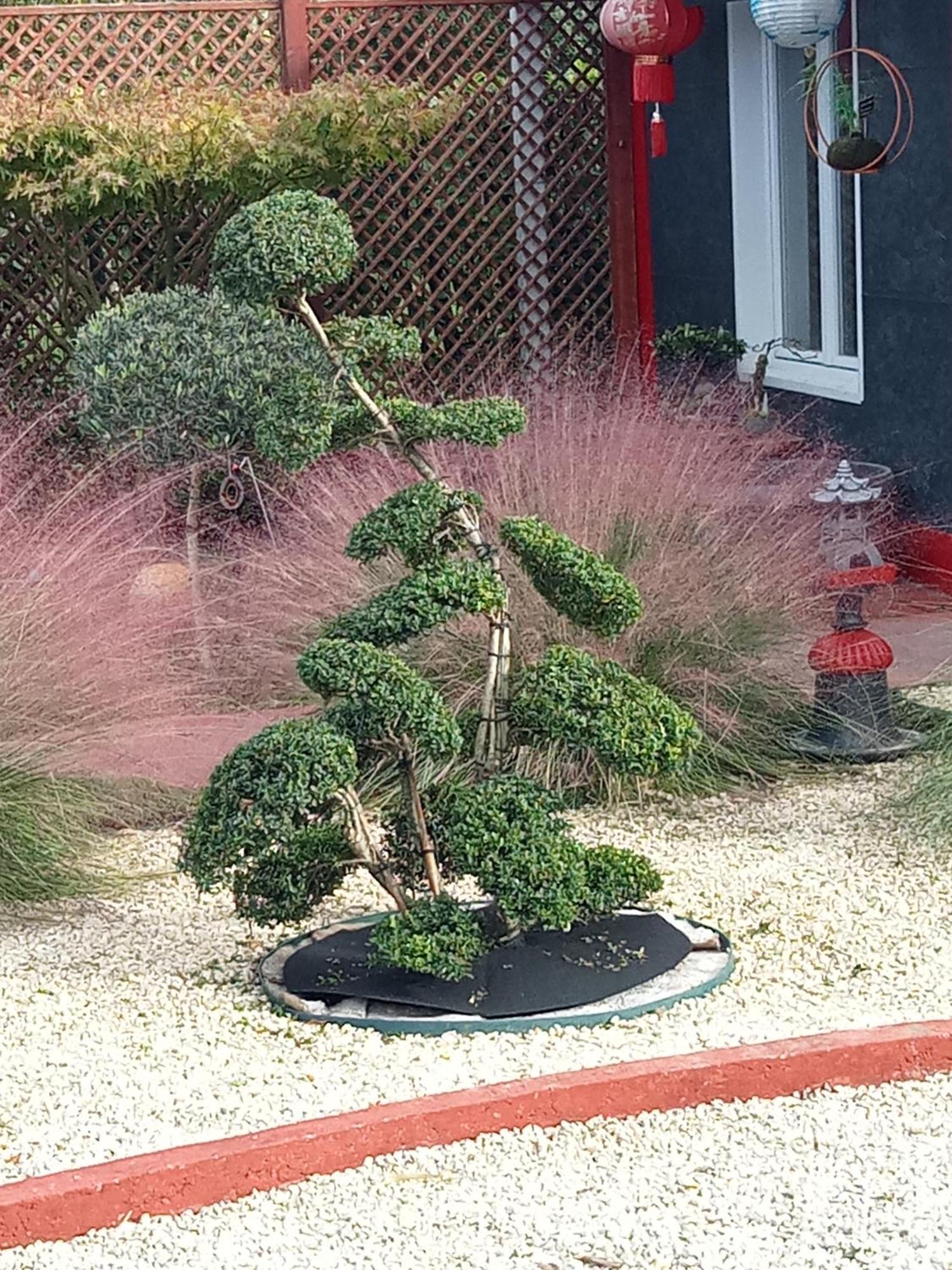 Une Pause Quelque Part Au Jardin Des Erables Et Des Niwakis Saint-Medard-de-Guizieres 外观 照片