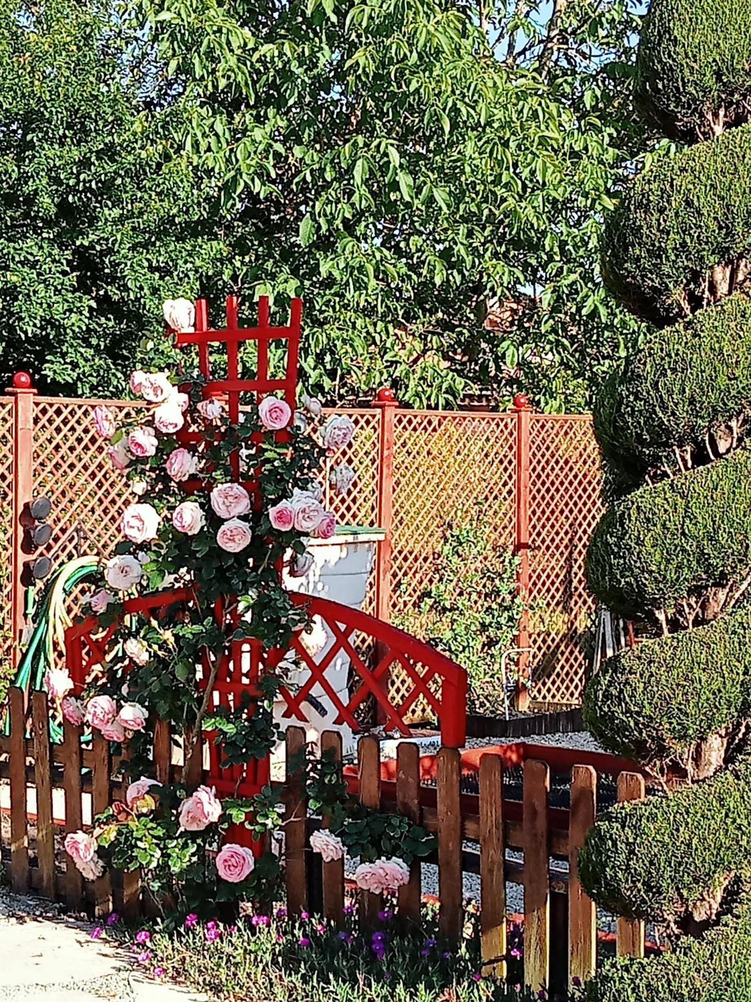 Une Pause Quelque Part Au Jardin Des Erables Et Des Niwakis Saint-Medard-de-Guizieres 外观 照片